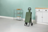 Type A 2-Wheel Shopping Cart, Holds Up to 33-lb D5F2 - product image 1